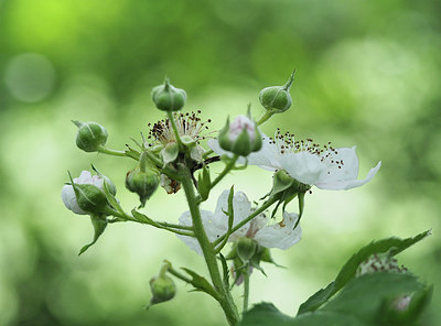 BUITEN BEELD Foto: 356931