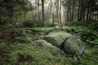 BUITEN BEELD Foto: 356939