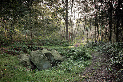 BUITEN BEELD Foto: 356940