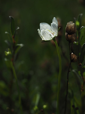 BUITEN BEELD Foto: 356942