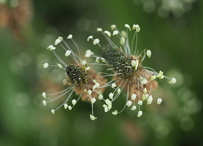 BUITEN BEELD Foto: 356980
