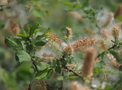 BUITEN BEELD Foto: 357105