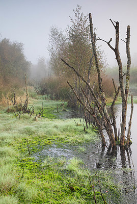 BUITEN BEELD Foto: 357130