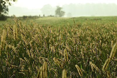 BUITEN BEELD Foto: 357355