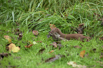 BUITEN BEELD Foto: 357363