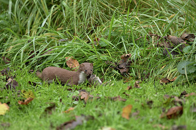 BUITEN BEELD Foto: 357370