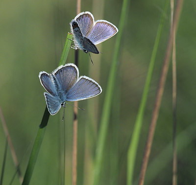 BUITEN BEELD Foto: 357437