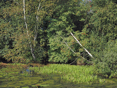 BUITEN BEELD Foto: 357552