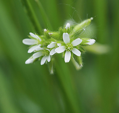 BUITEN BEELD Foto: 357563