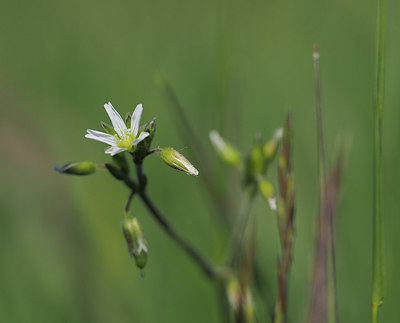 BUITEN BEELD Foto: 357594