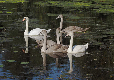 BUITEN BEELD Foto: 357606