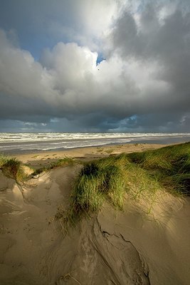 BUITEN BEELD Foto: 357756