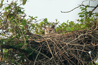 BUITEN BEELD Foto: 357770