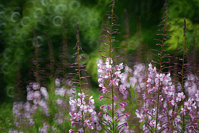 BUITEN BEELD Foto: 357894