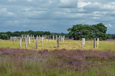 BUITEN BEELD Foto: 357906