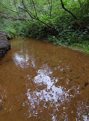 BUITEN BEELD Foto: 357989