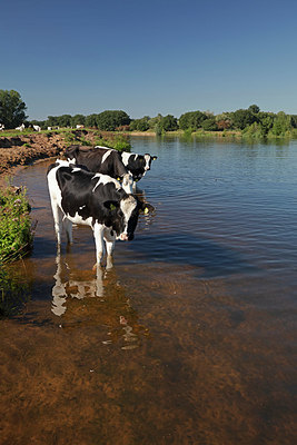 BUITEN BEELD Foto: 358101