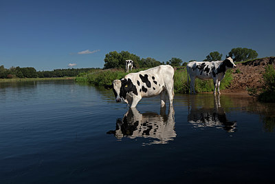 BUITEN BEELD Foto: 358102