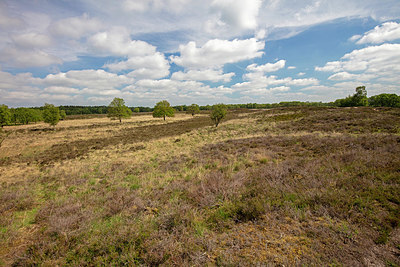 BUITEN BEELD Foto: 358159