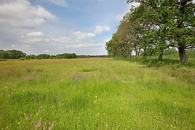 BUITEN BEELD Foto: 358171
