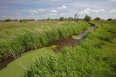 BUITEN BEELD Foto: 358179