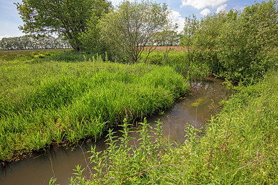 BUITEN BEELD Foto: 358181