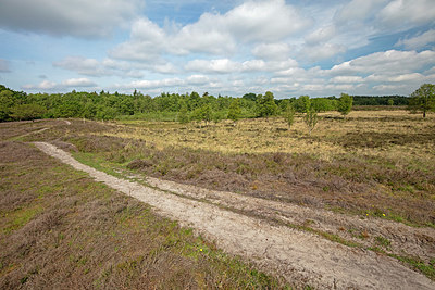BUITEN BEELD Foto: 358182