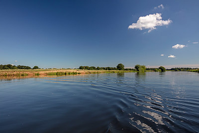 BUITEN BEELD Foto: 358204