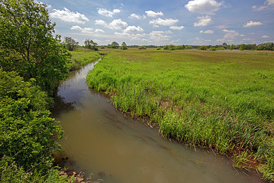 BUITEN BEELD Foto: 358210