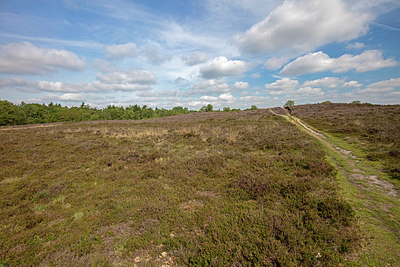 BUITEN BEELD Foto: 358217