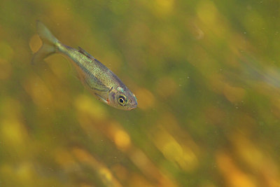 BUITEN BEELD Foto: 358340