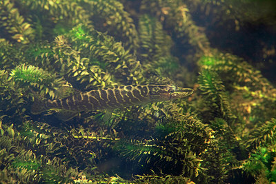 BUITEN BEELD Foto: 358361