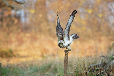 BUITEN BEELD Foto: 358490