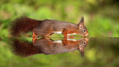BUITEN BEELD Foto: 358498