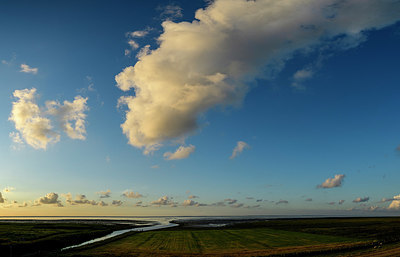 BUITEN BEELD Foto: 358606
