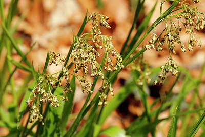 BUITEN BEELD Foto: 358747