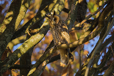 BUITEN BEELD Foto: 358862