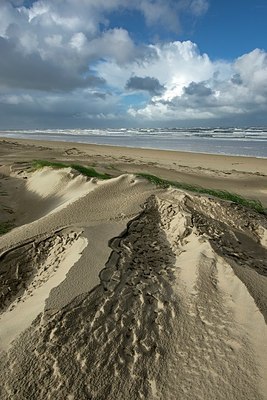 BUITEN BEELD Foto: 358946