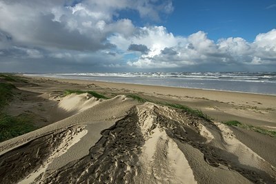 BUITEN BEELD Foto: 358947