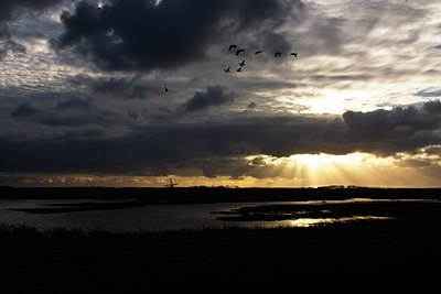 BUITEN BEELD Foto: 35006