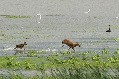 BUITEN BEELD Foto: 35075