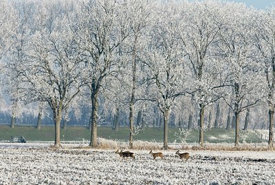 BUITEN BEELD Foto: 35079