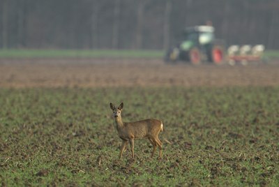 BUITEN BEELD Foto: 35087