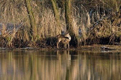 BUITEN BEELD Foto: 35094