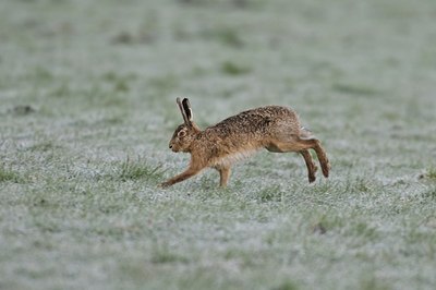 BUITEN BEELD Foto: 35122