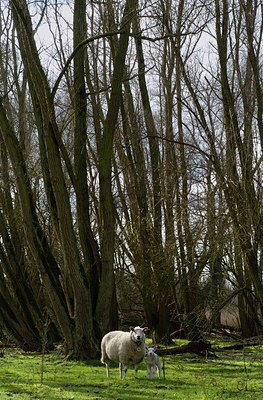 BUITEN BEELD Foto: 35134