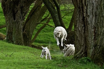 BUITEN BEELD Foto: 35135