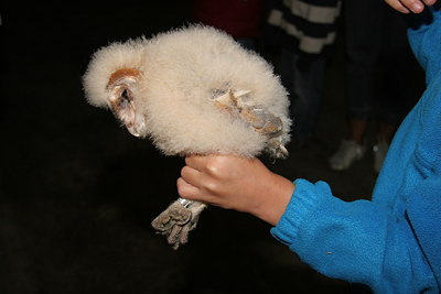 BUITEN BEELD Foto: 35324