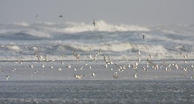 BUITEN BEELD Foto: 35692