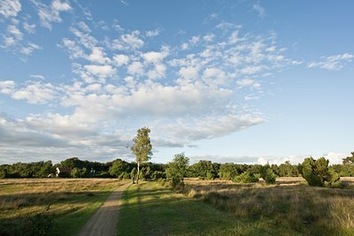 BUITEN BEELD Foto: 35721